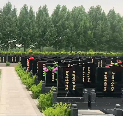 天津大港兰生园公墓价格