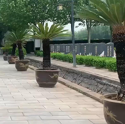 河北兰生园墓地预约
