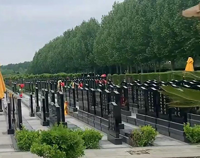 河北省兰生园墓地产权