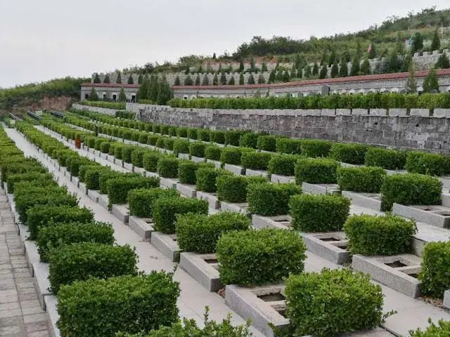 天津国营兰生园公墓地址在哪